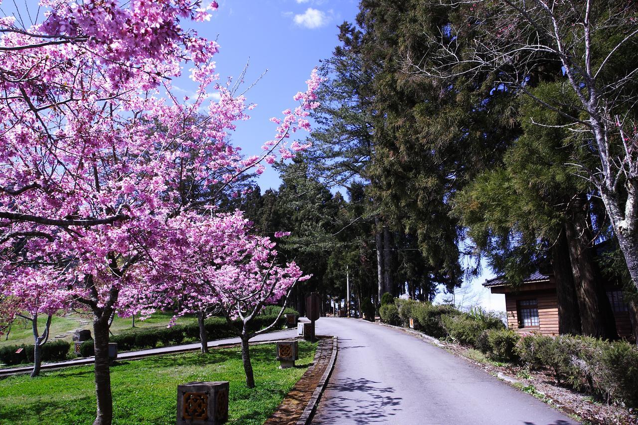 Alishan Youth Activity Center Жонгженг Екстериор снимка